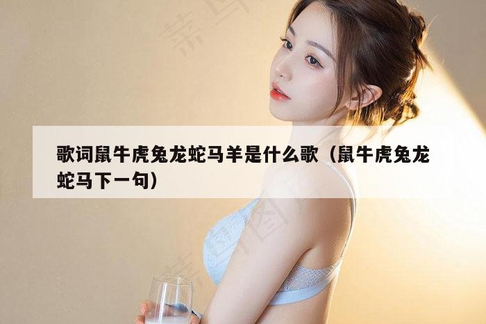 歌词鼠牛虎兔龙蛇马羊是什么歌（鼠牛虎兔龙蛇马下一句）